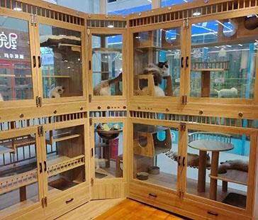 猫猫展示柜